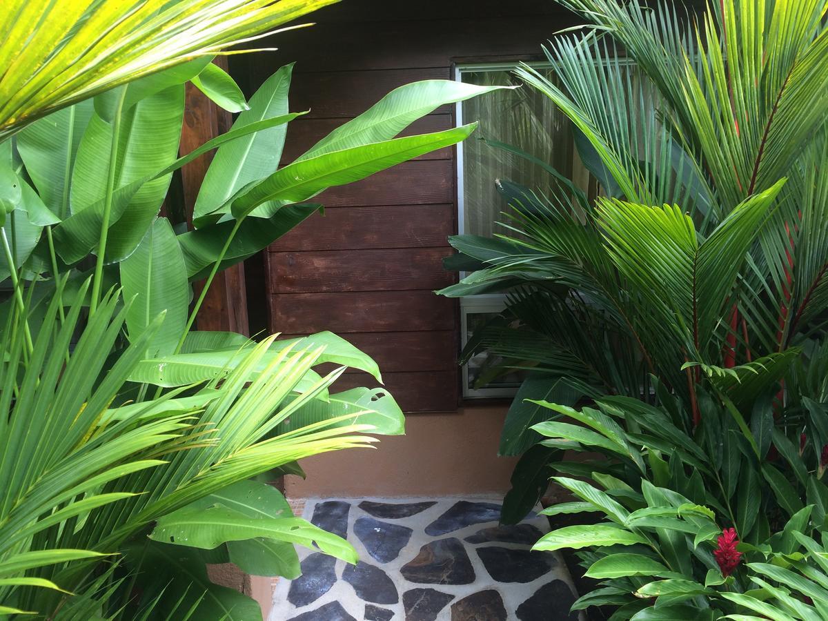 Mussaenda, Arenal Hotel La Fortuna Ngoại thất bức ảnh