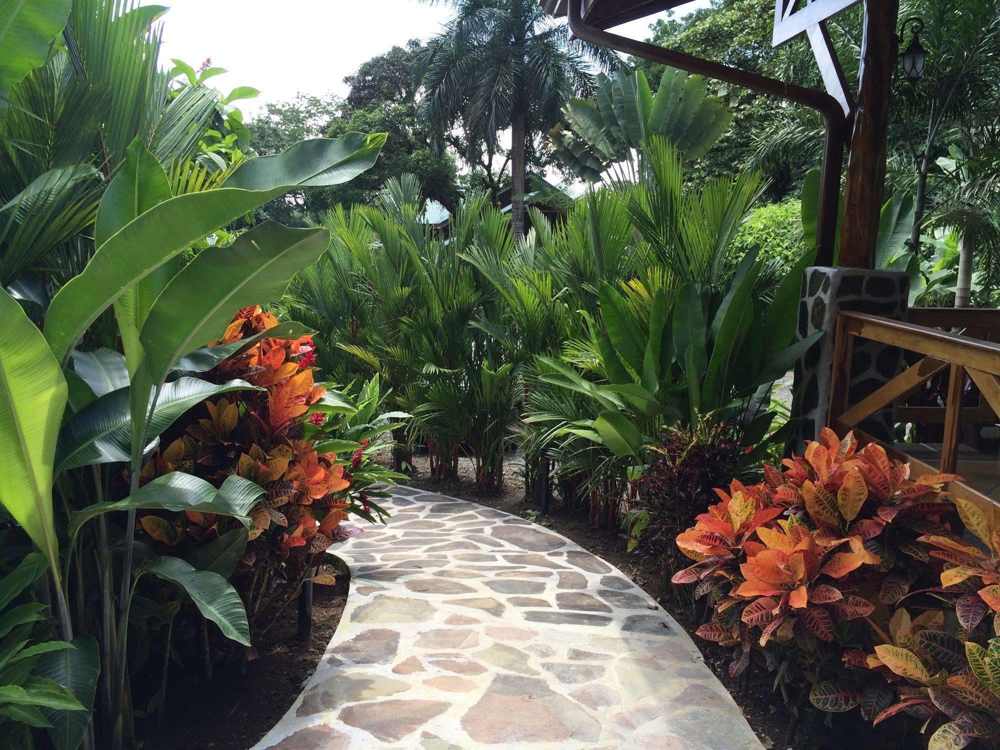 Mussaenda, Arenal Hotel La Fortuna Ngoại thất bức ảnh
